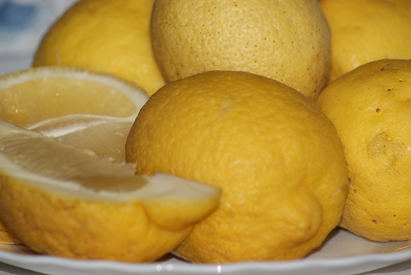 SONY DSC