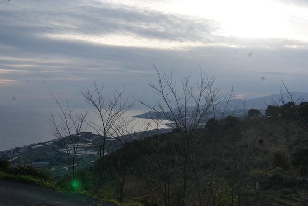 SONY DSC