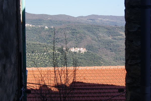 SONY DSC