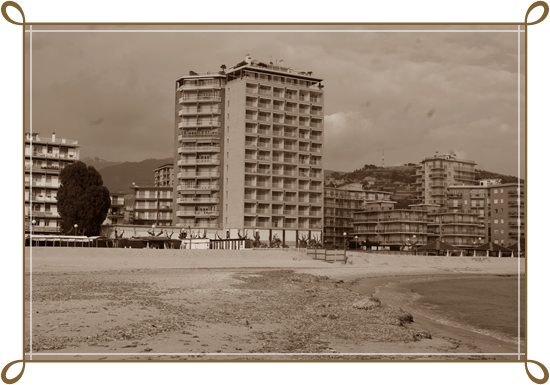 SONY DSC