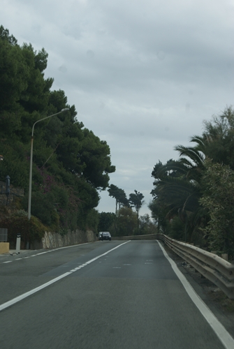 SONY DSC