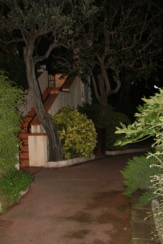 SONY DSC