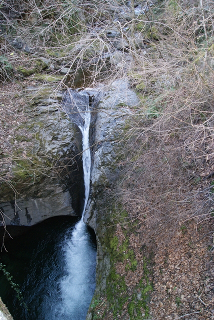 SONY DSC