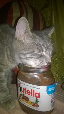 WP_20141029_002