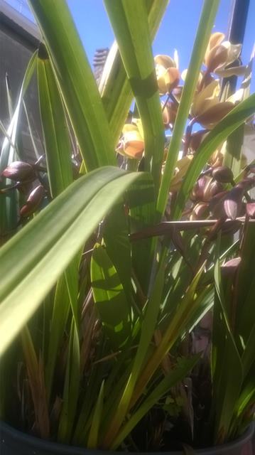 WP_20150218_001
