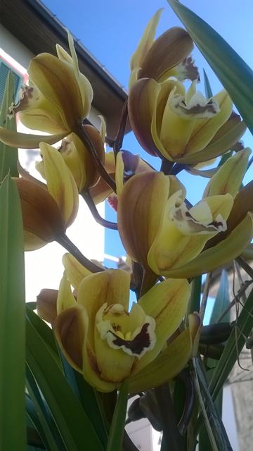 WP_20150220_008