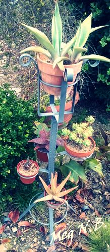 WP_20150403_005