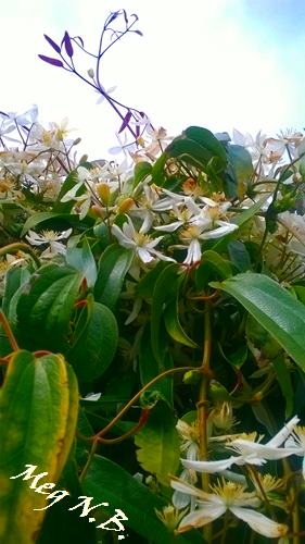 WP_20150403_006