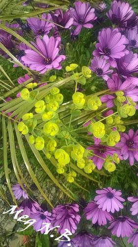 WP_20150403_016