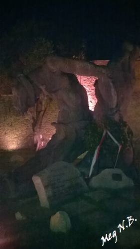 WP_20150503_007