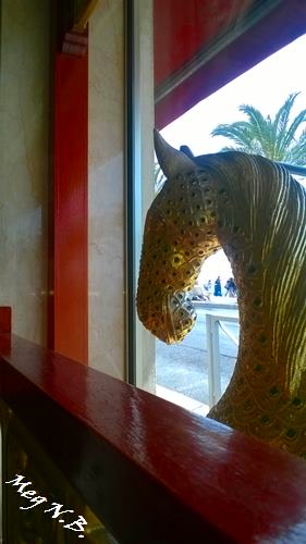 WP_20150509_003