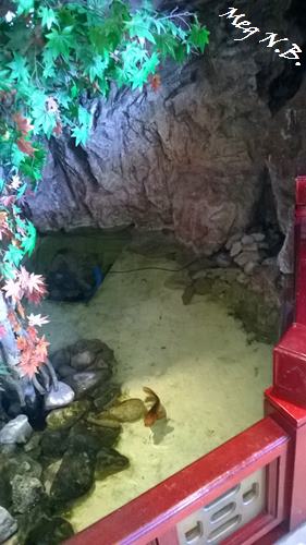 WP_20150509_007