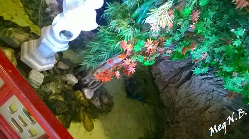 WP_20150509_009