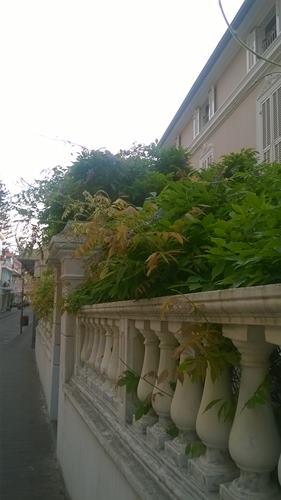 WP_20150609_005