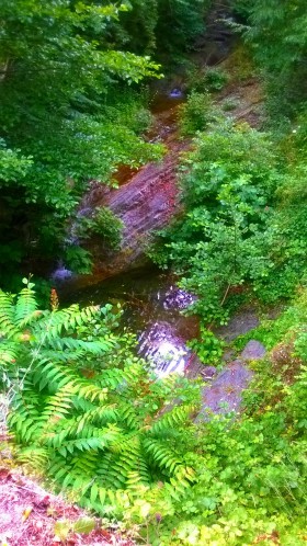 WP_20150612_003