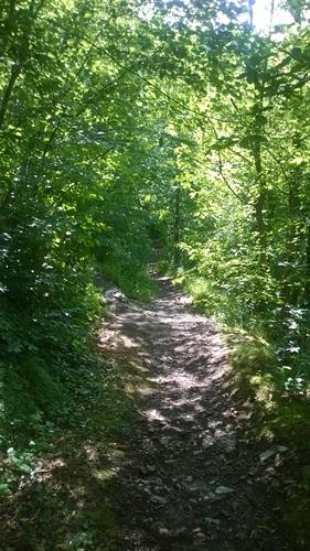 WP_20150614_004