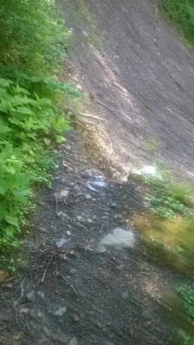 WP_20150614_005