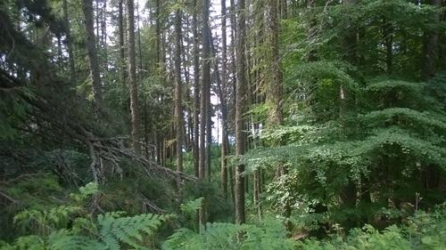 WP_20150703_001