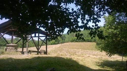 WP_20150703_024