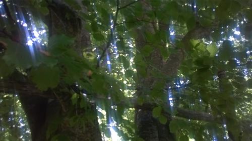 WP_20150703_026
