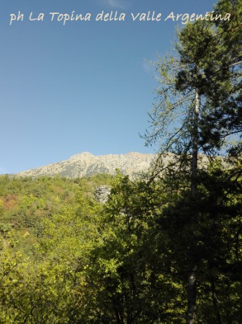 fronté