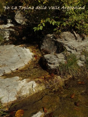 Verdeggia
