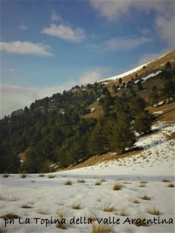 Monte Ceppo