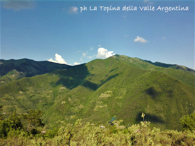 monte Faudo