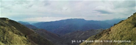 passo teglia