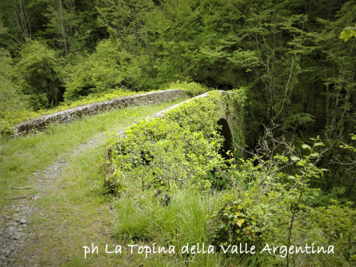 Il Ponte di Mauta