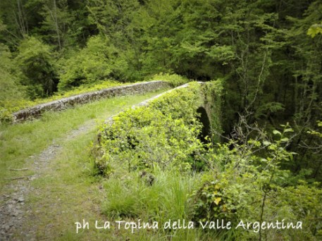 ponte di mauta triora loreto