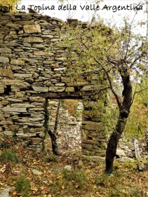 rudere carpasio