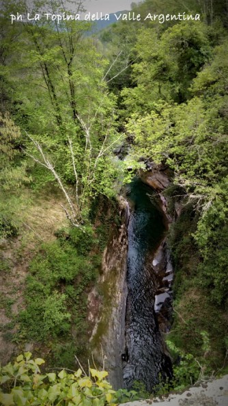 torrente argentina forra grognardo ponte mauta