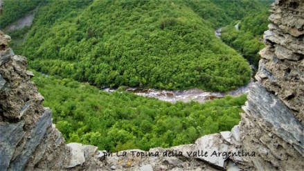 torrente argentina