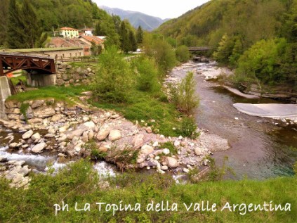 torrente capriolo torrente argentina molini triora