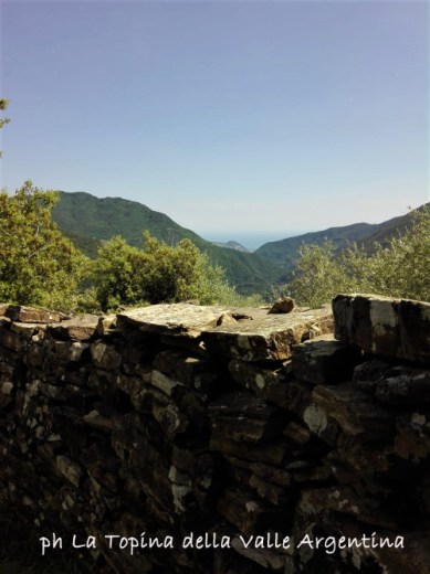 anello madonna della neve badalucco