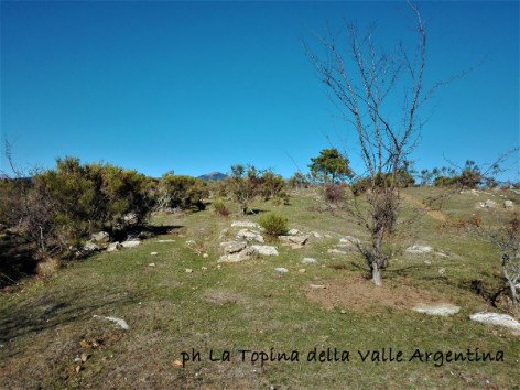 prati Verezzo