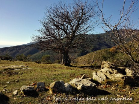 Verezzo1