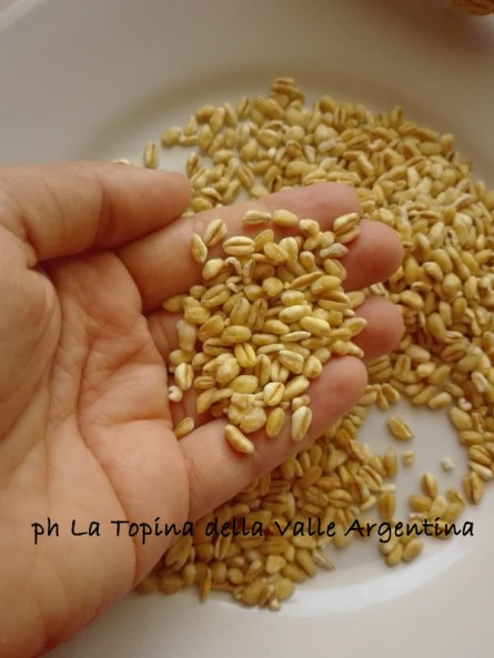 Grano