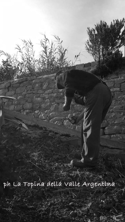 lavoro campi
