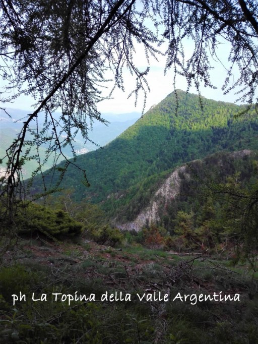 Monte Gerbonte2