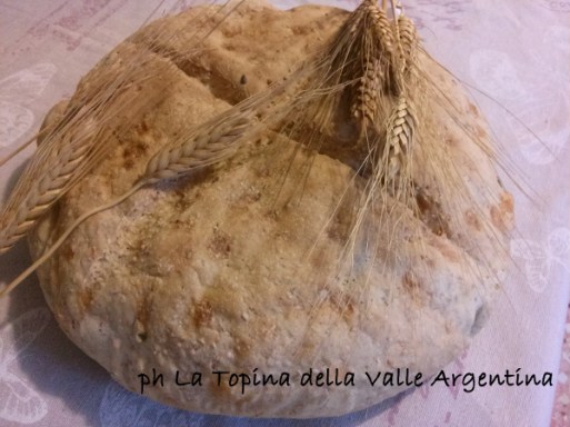 pane grano valle argentina