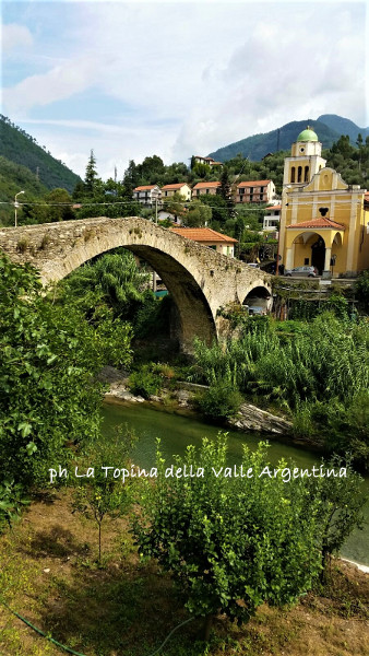 Ponte romano - Badalucco1