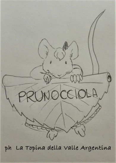 prunocciola