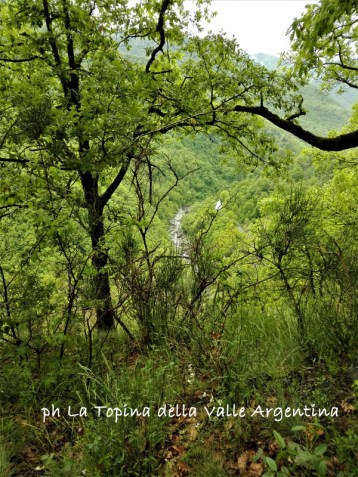 sentiero Rocca Andagna