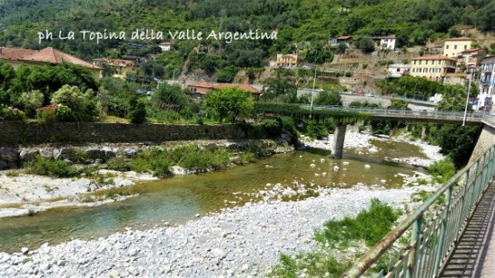 Torrente Argentina - Badalucco2.jpg