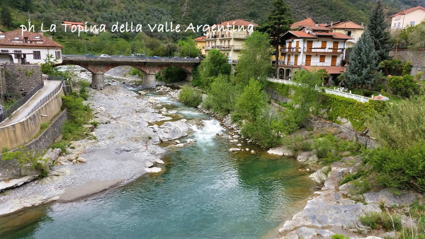 Torrente Argentina - Badalucco4.jpeg