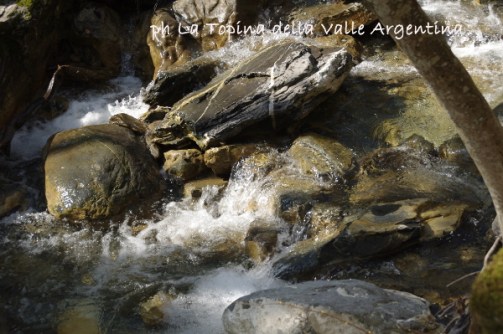 acqua torrente2
