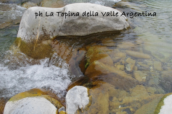 torrente acqua