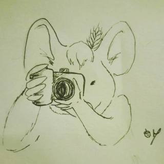toporeporter